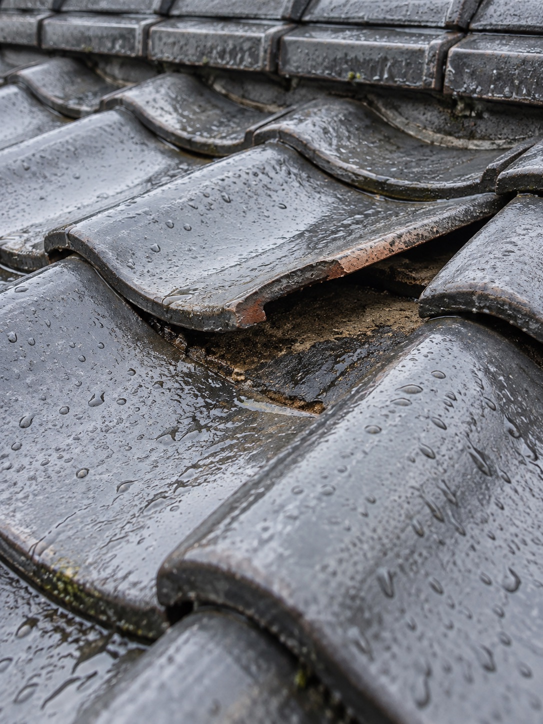 雨にぬれた瓦屋根を表現したイメージ